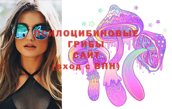 гашик Абаза