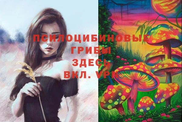 гашик Абаза
