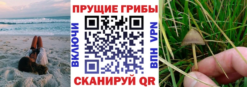 Псилоцибиновые грибы прущие грибы  купить закладку  KRAKEN ССЫЛКА  Задонск 